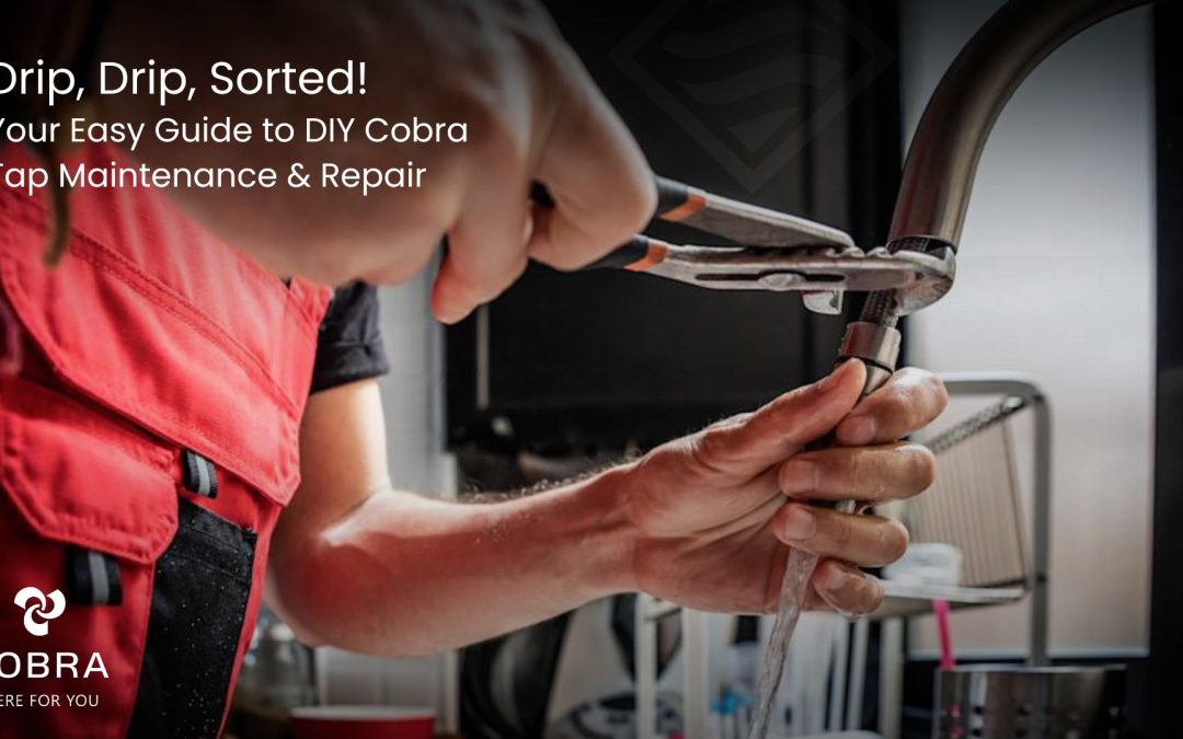 DIY Cobra Tap Maintenance