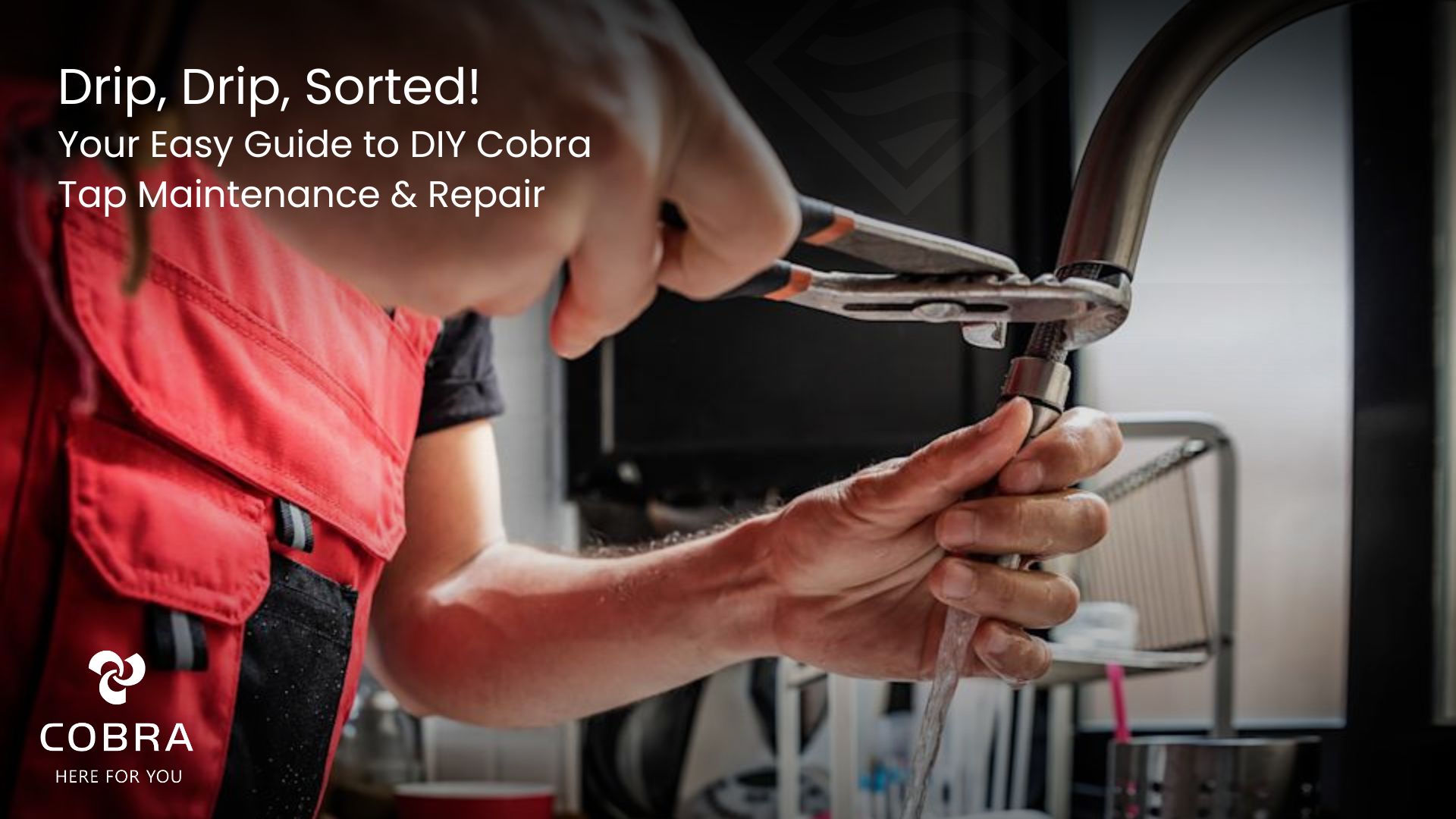 DIY Cobra Tap Maintenance
